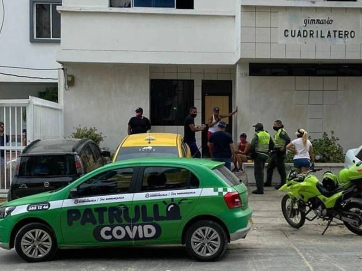 ¿Quién responde por la muerte de dos gatos en gimnasio de Barranquilla?