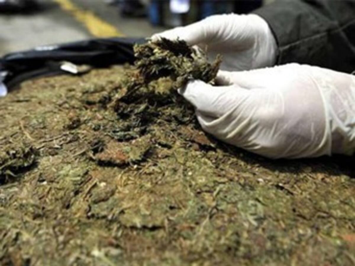 Policía del Quindío decomiso 5 kilos de marihuana