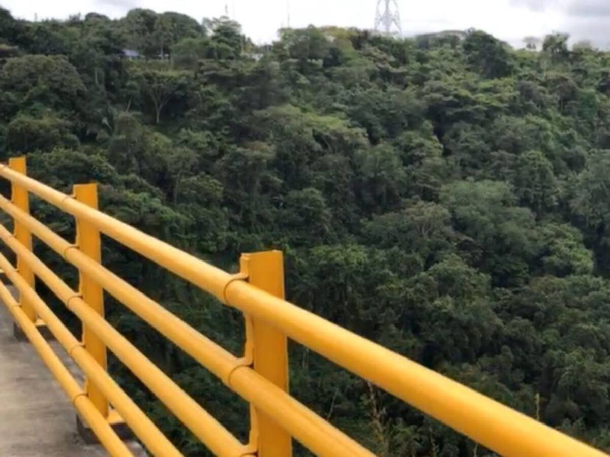 Piden equipo de atención psicológica para puente de la variante de Ibagué