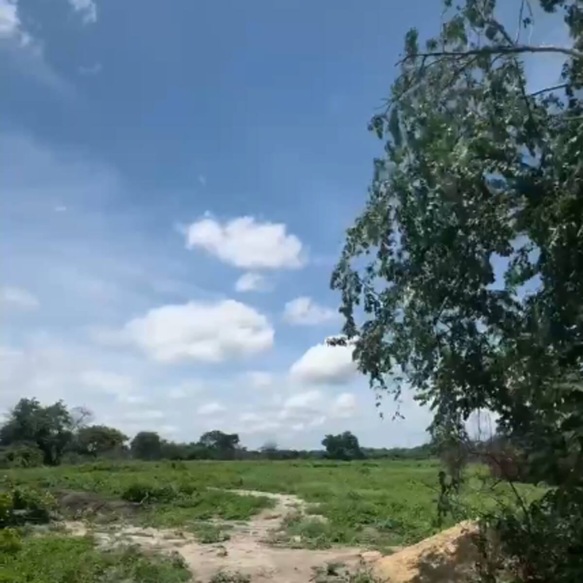 Denuncian presunta venta ilegal de terrenos en Malambo, Atlántico