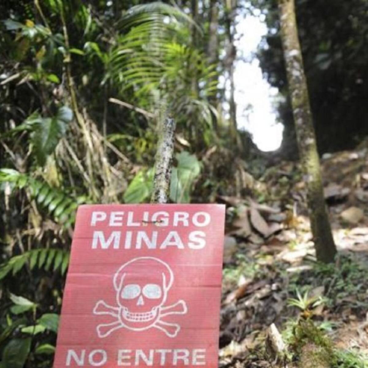 Ministerio Público pide a autoridades avanzar en desminado