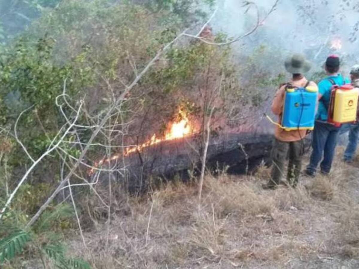 Caldas, en alerta roja por la posible ocurrencia de incendios de capa vegetal