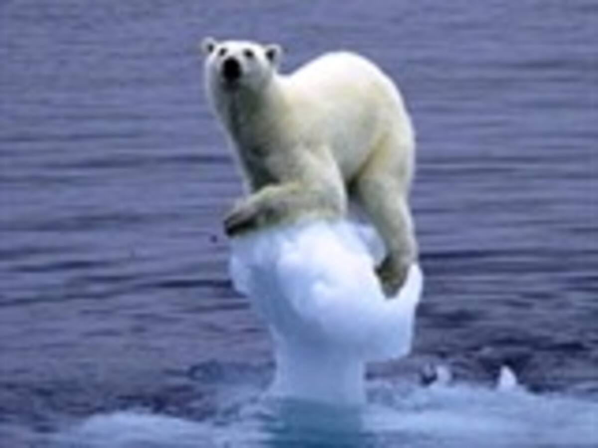 Haga lo que se haga, el cambio climático es irreversible
