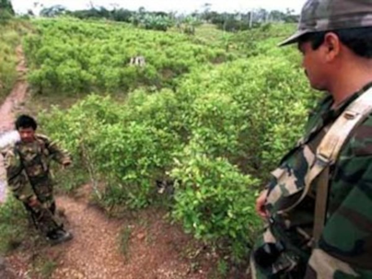 Así funcionaría la estructura del narcotráfico de las Farc
