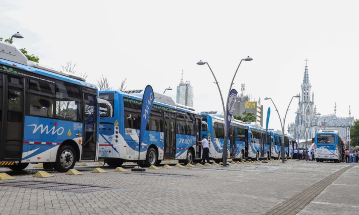Tienen capacidad de transportar 50 pasajeros, la autonomía de viaje es de 240 kilómetros y pueden recorrer las calles y hacer trasbordos en estaciones.