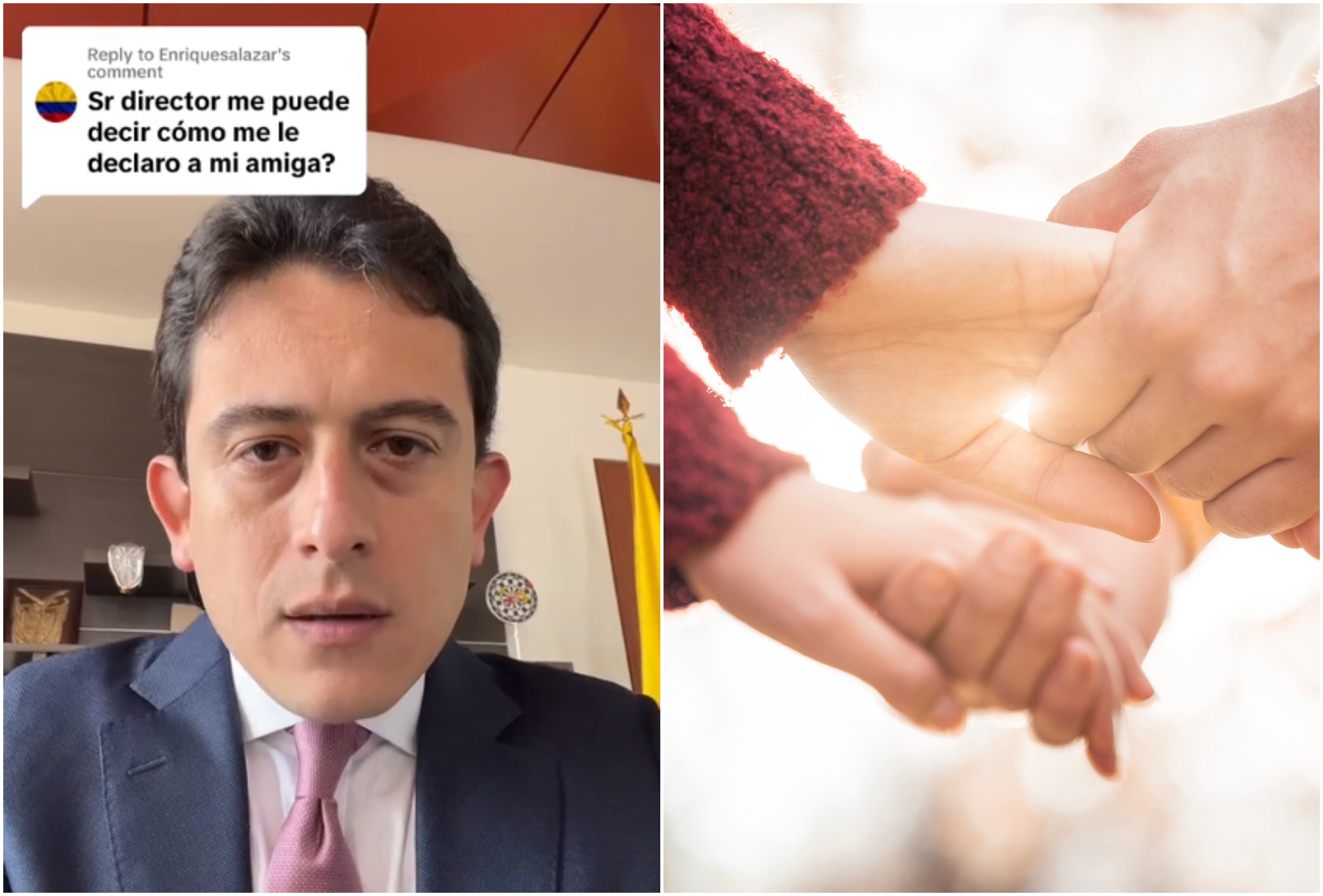 Luis Carlos Reyes, director de la Dian.