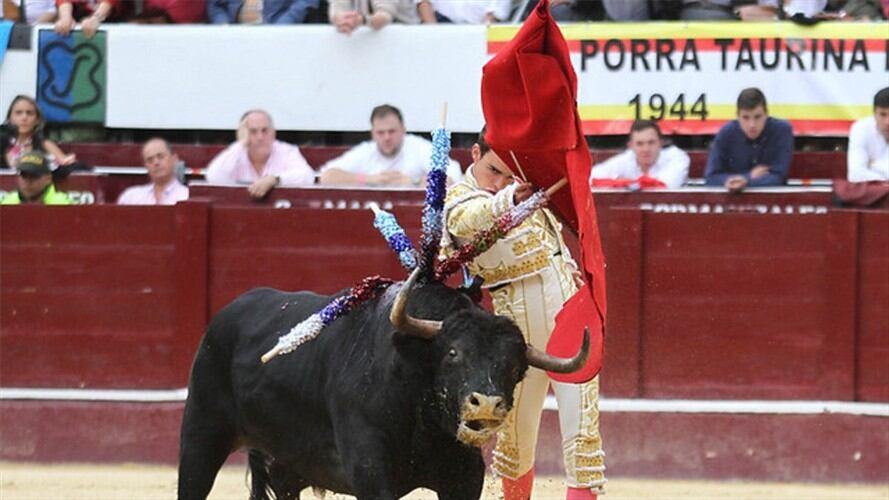 Corte tumba consulta antitaurina. Foto: Colprensa