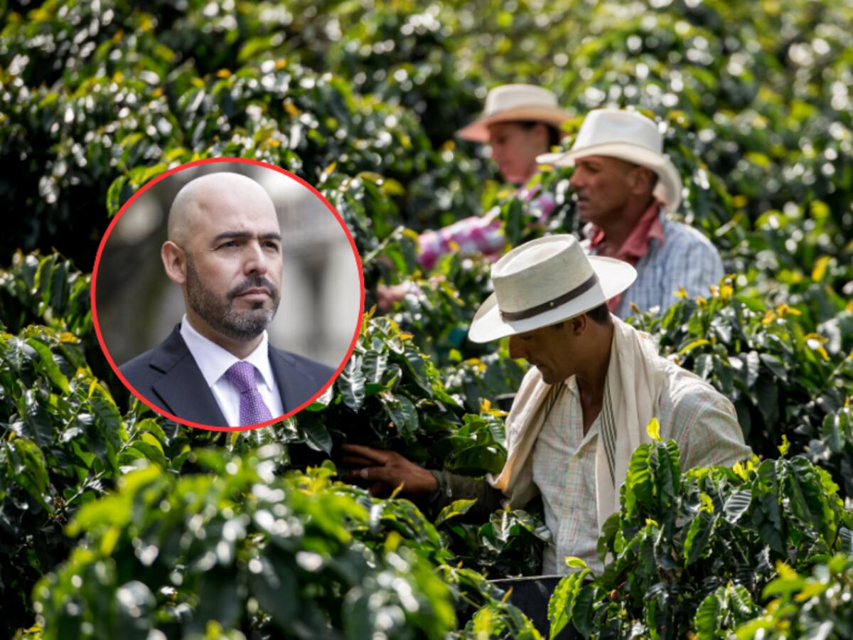 “El campo le cumplió a Colombia... es momento que Colombia le cumpla al campo”, presidente de la SAC
