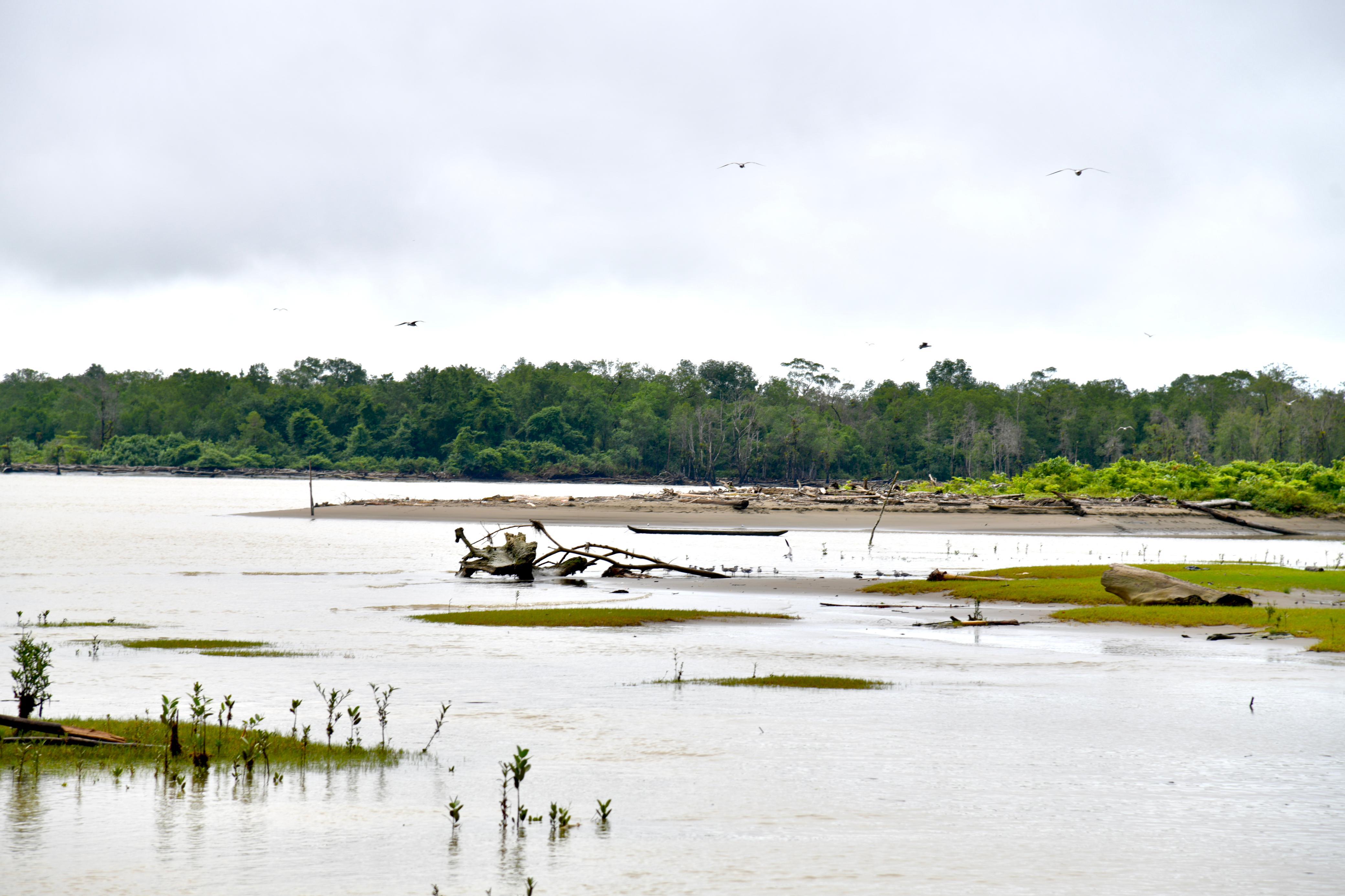 Zonas más afectadas por las fuertes lluvias en el municipio de Pizarro, Chocó. Foto: Cortesía UNGRD.