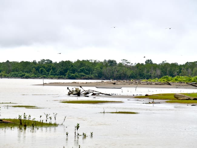 Zonas más afectadas por las fuertes lluvias en el municipio de Pizarro, Chocó. Foto: Cortesía UNGRD.