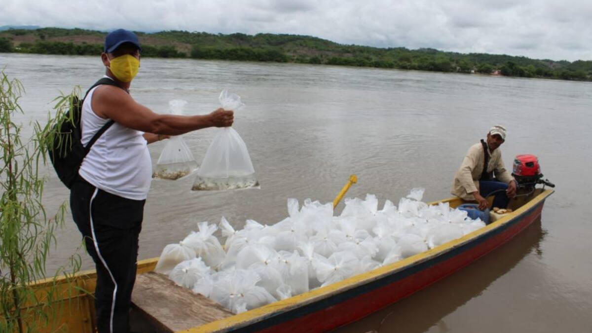 Colombia trabaja para fortalecer su acuicultura y pesca