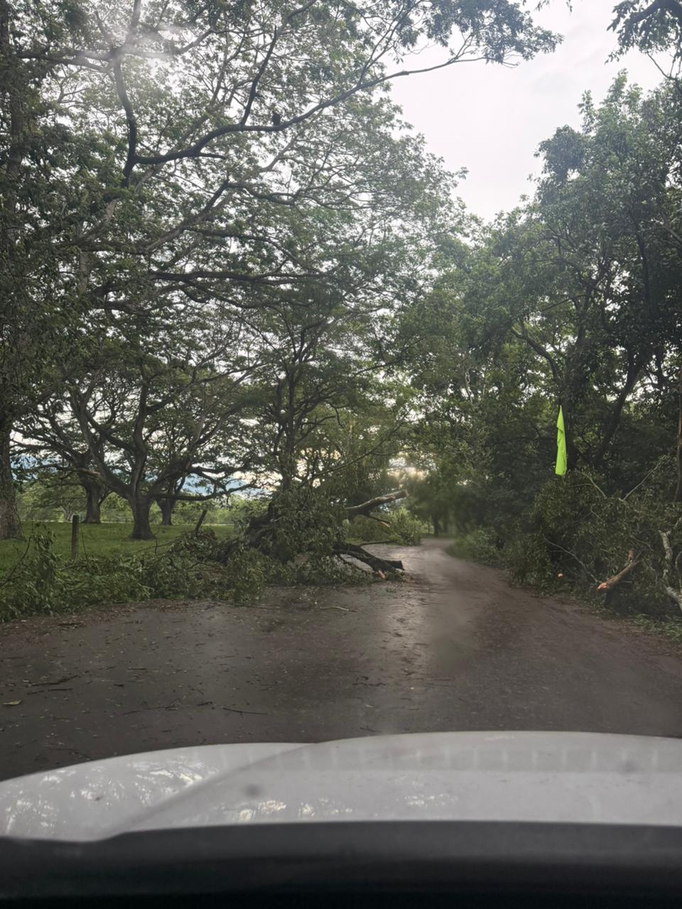 Árboles caídos en la vía La Dorada - Norcasia. Foto: Unidad de Gestión del Riesgo de La Dorada.