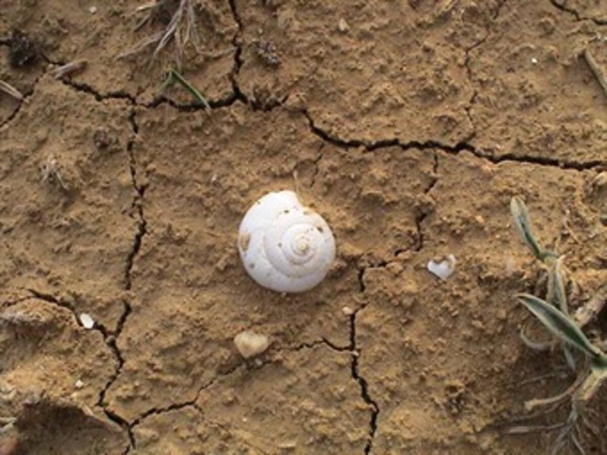 El 30 % de las costas colombianas amenazadas por la erosión