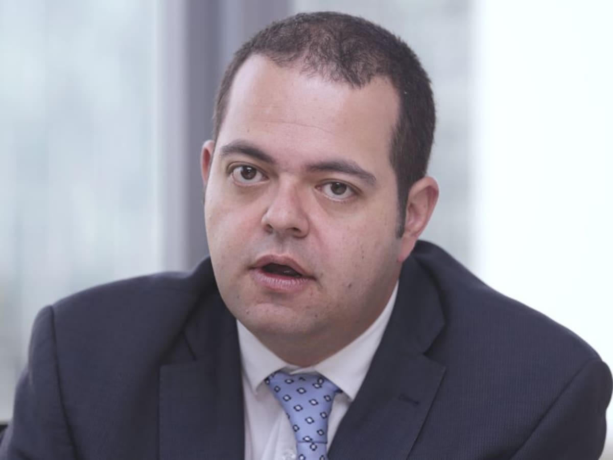 Recuperar cadena avícola tardaría entre 12 y 18 meses