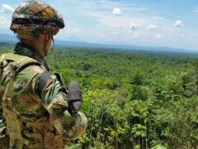 Coca y otras guerrillas amenazas en el Catatumbo