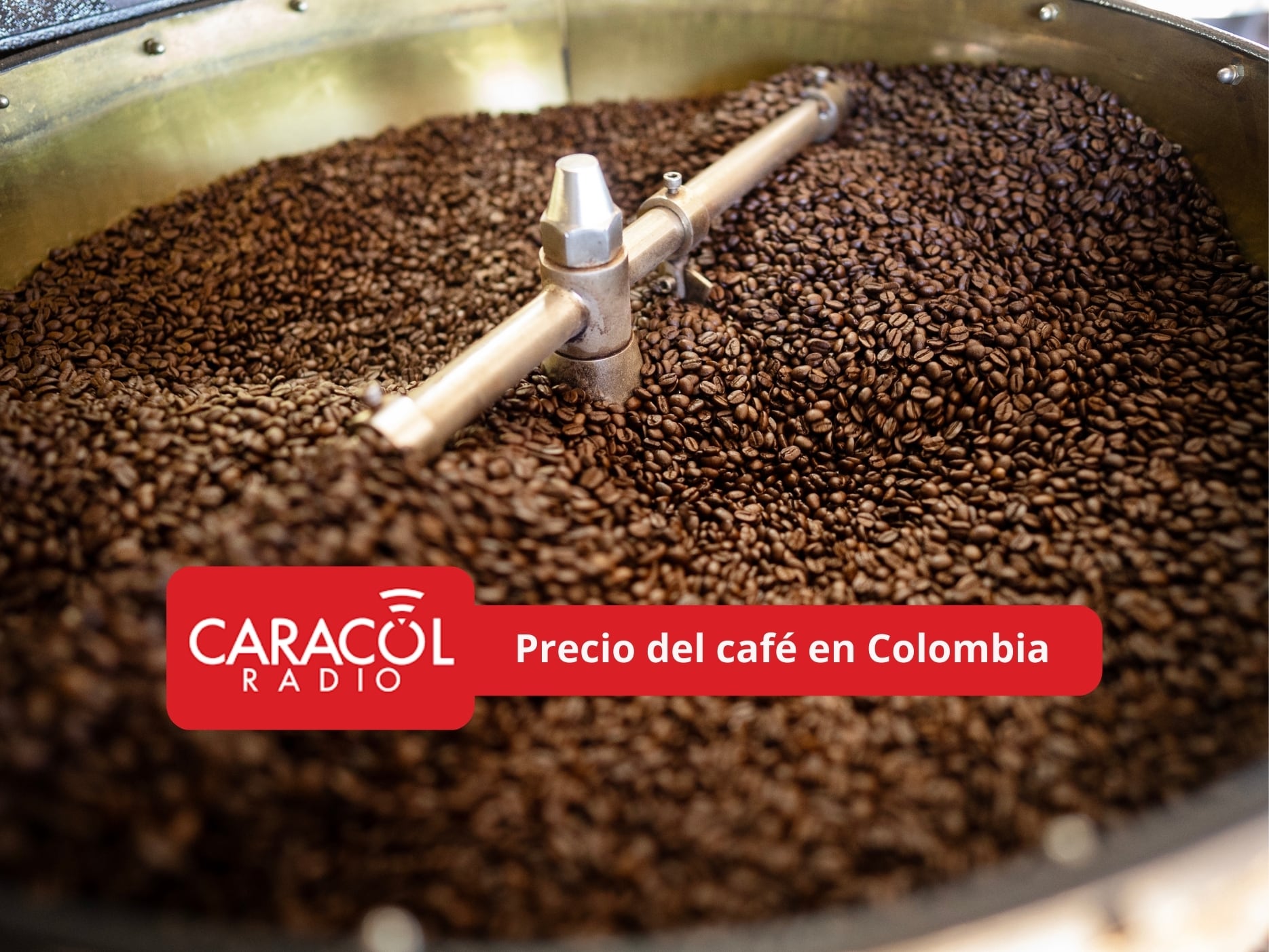 En portada: Imagen ilustrativa de café en grano en una máquina (Cortesía: Getty Images)