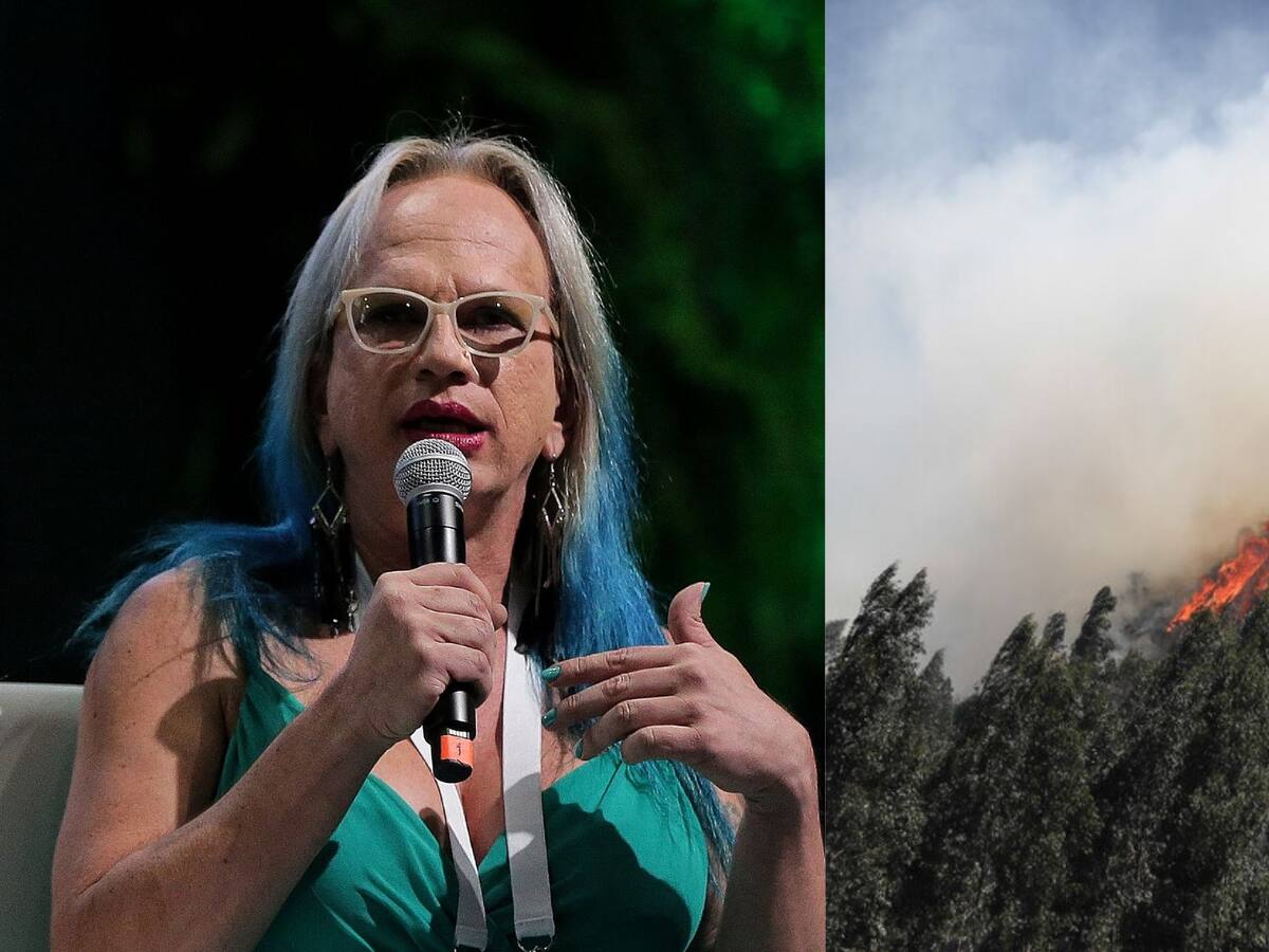 Brigitte Baptiste sobre incendios: "Falta gestión preventiva, es necesario transformar los cerros"