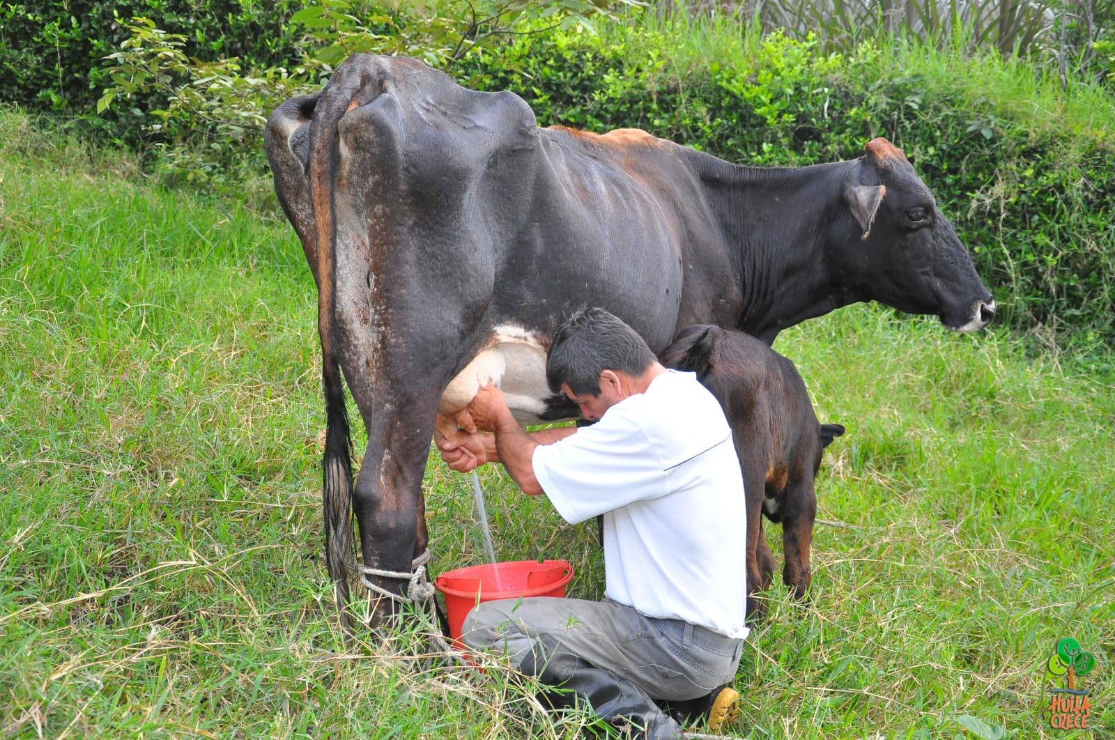 Mas de 17 municipios priorizados en este departamento.