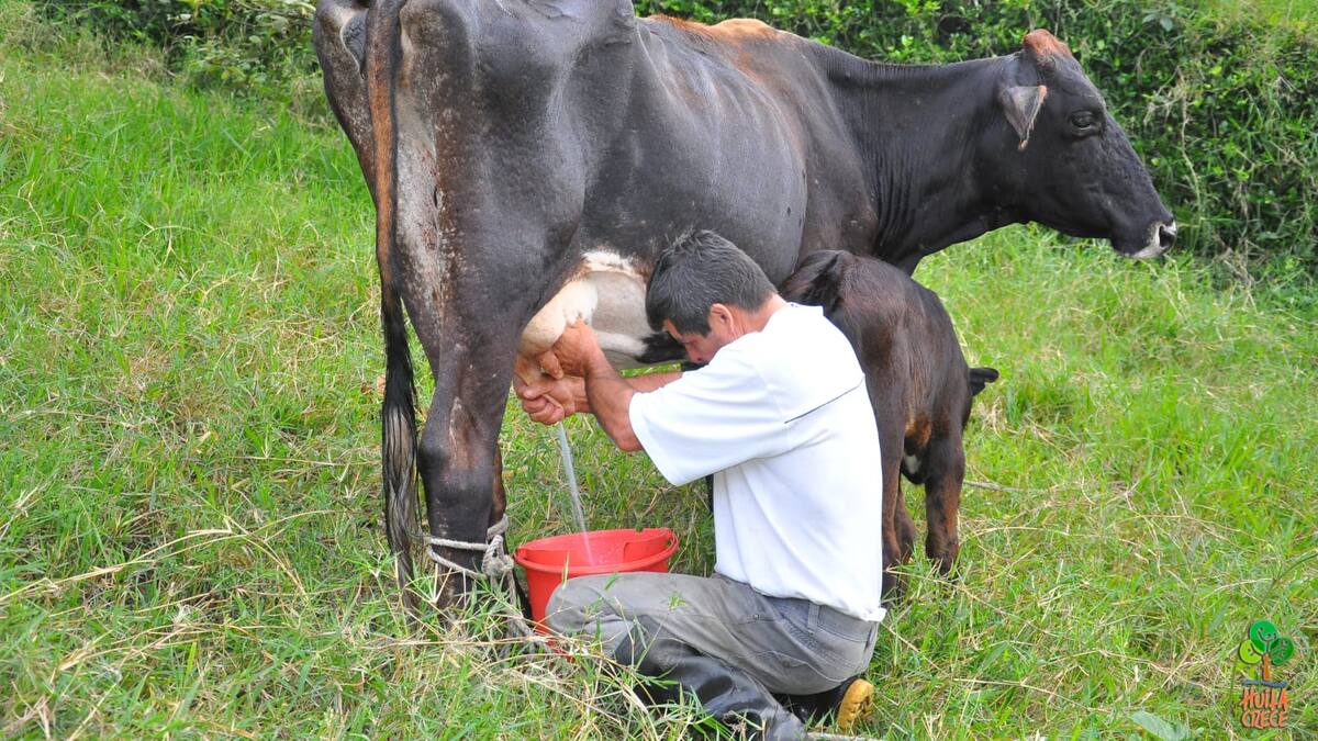 Avanza proceso en el Huila, para definir la Unidad Agrícola Familiar – UAF