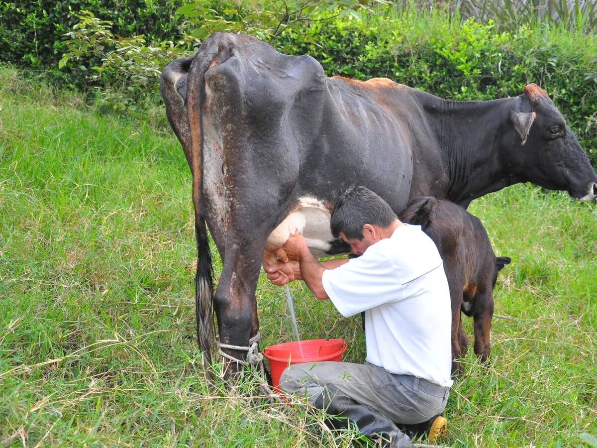 Avanza proceso en el Huila, para definir la Unidad Agrícola Familiar – UAF