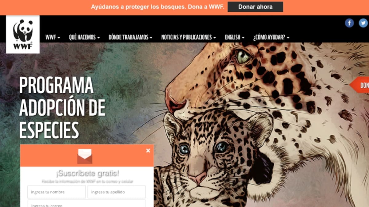 'Sabiduría Salvaje', una competencia por el planeta