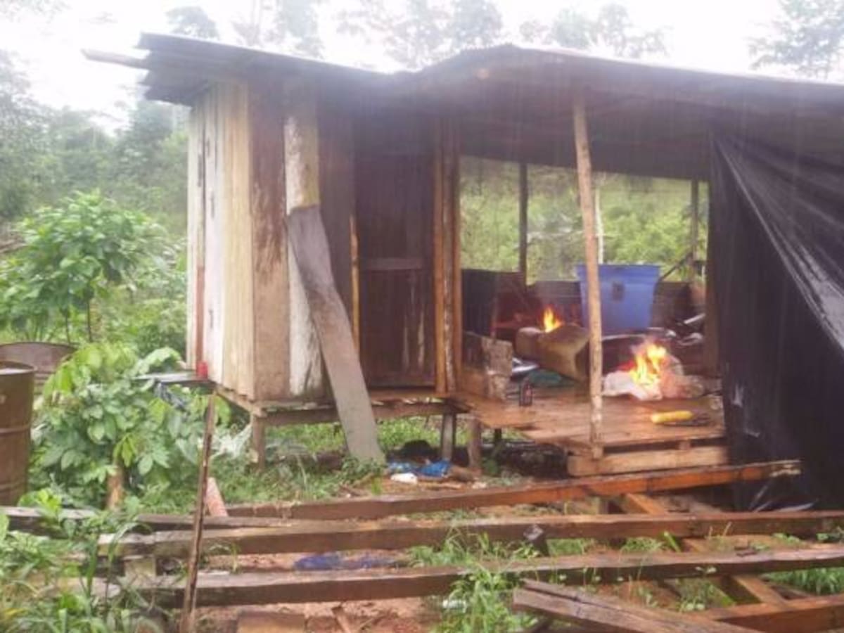 Destruyen dos laboratorios de ‘Los Urabeños’ para procesar coca en Antioquia