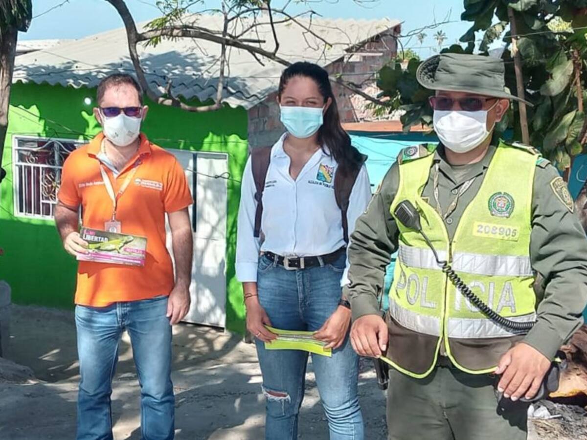 Autoridades del Magdalena combaten el tráfico y sacrificio de iguanas