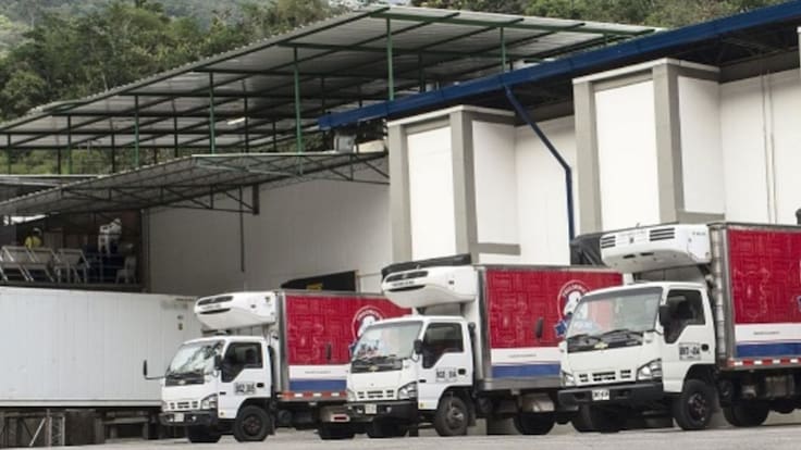 Vijagual no sacrificará cerdos