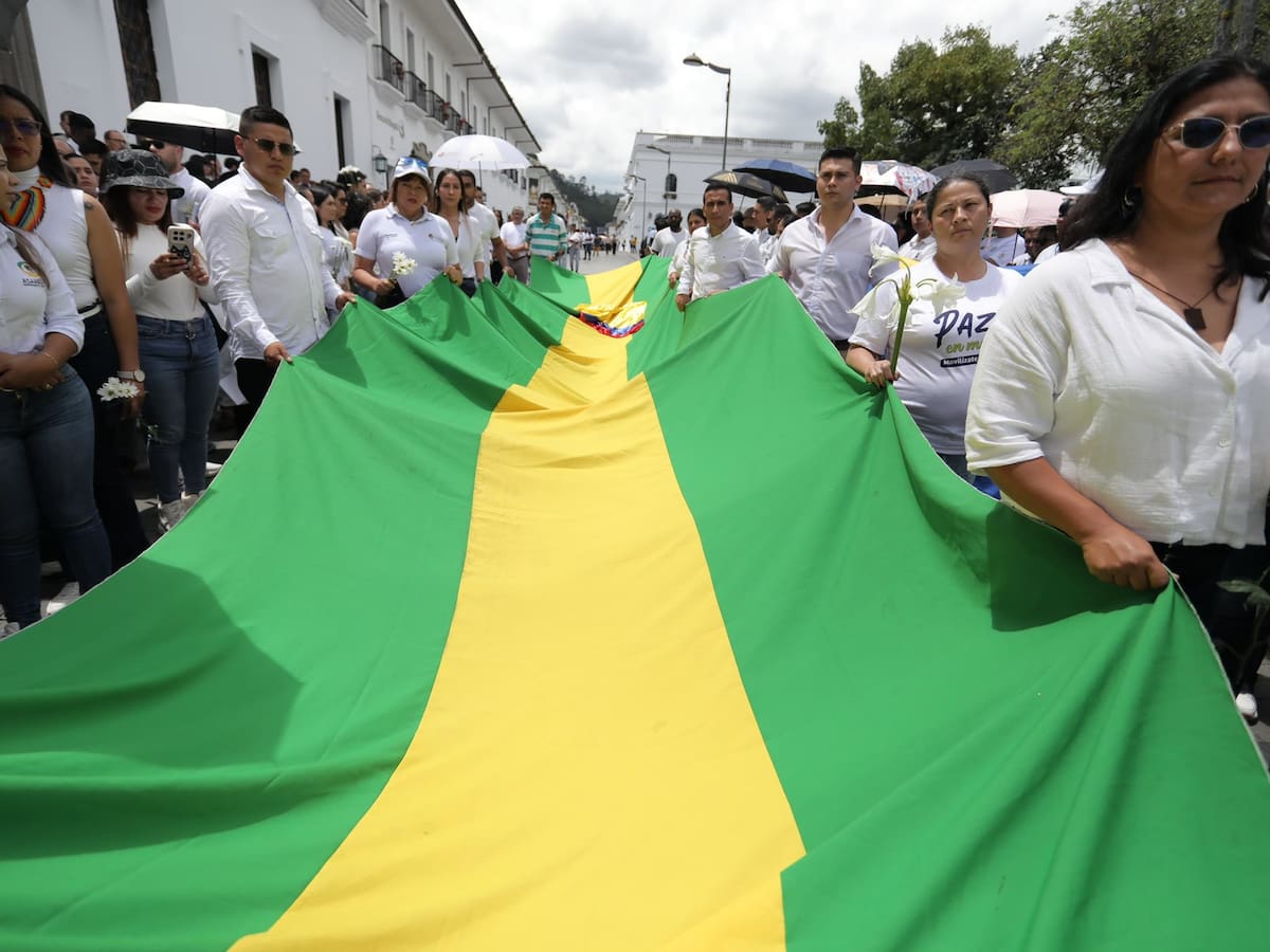 Desde el Cauca piden al Gobierno retomar diálogos de paz con grupos armados para frenar la violencia