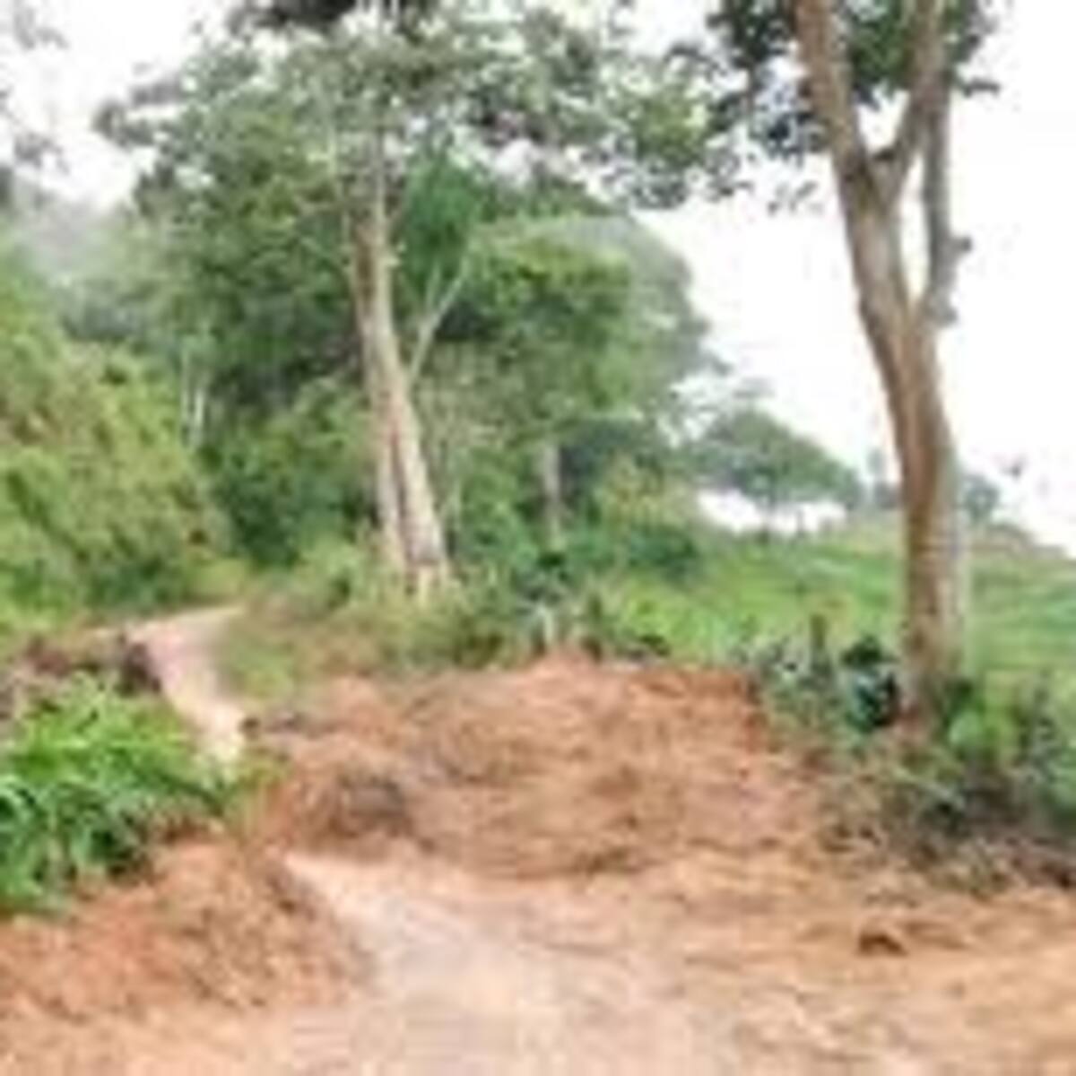Emergencia por lluvias en el municipio de Chinácota