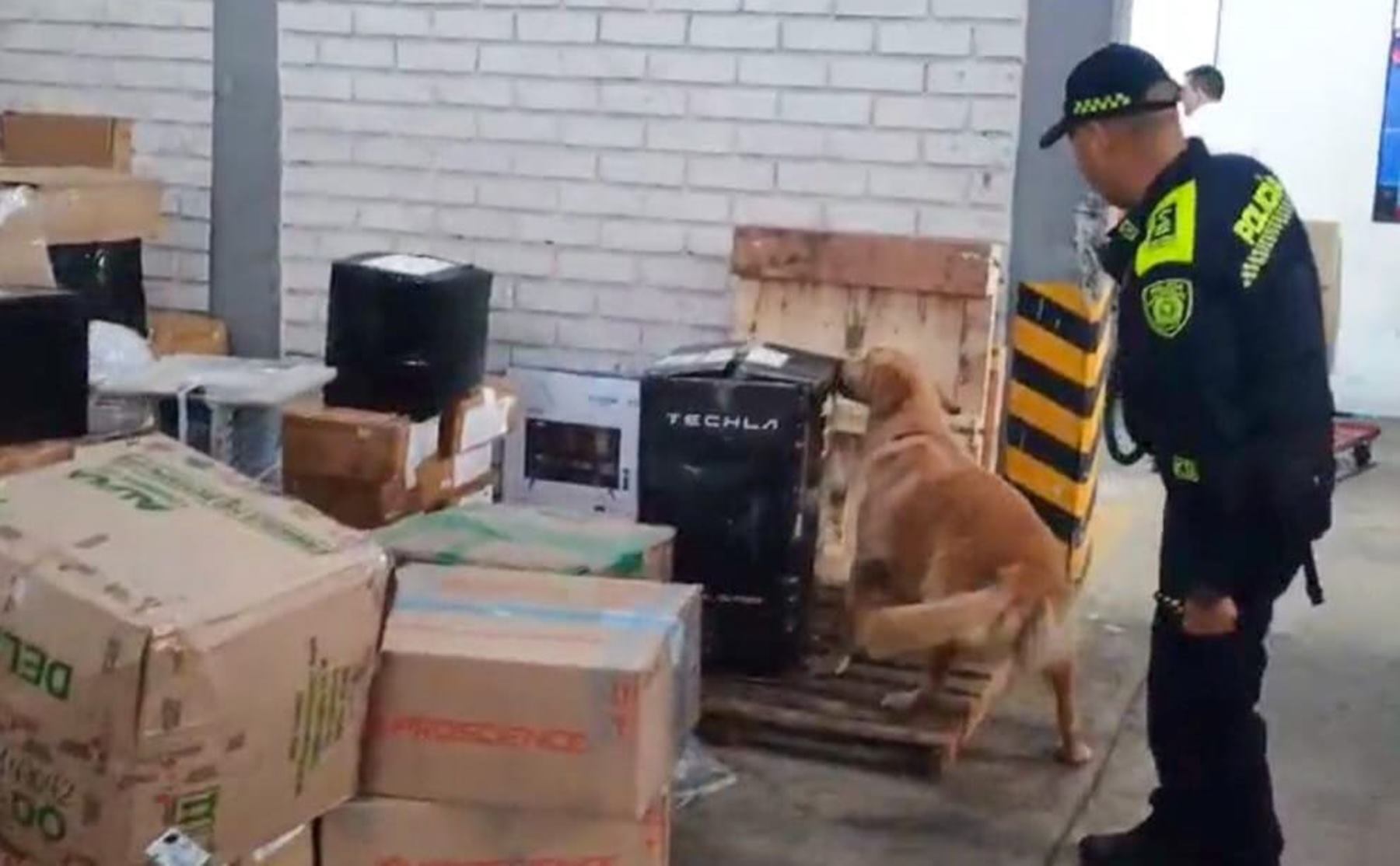 Incautación de clorhidrato de cocaína en empresa de encomiendas