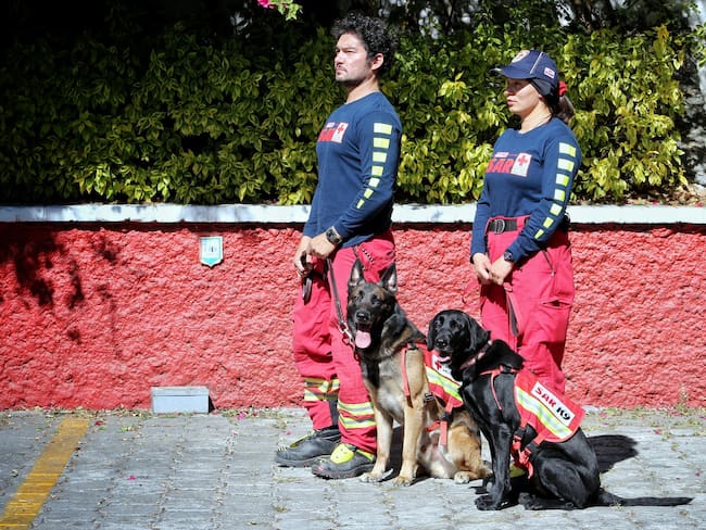 Perros rescatistas / Cruz Roja Puebla - Estatal / Twitter