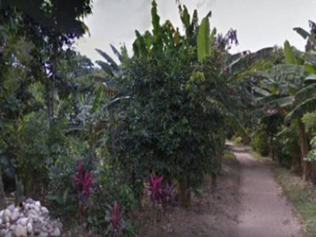 Temor por presencia de tigre en área rural de Santa Marta