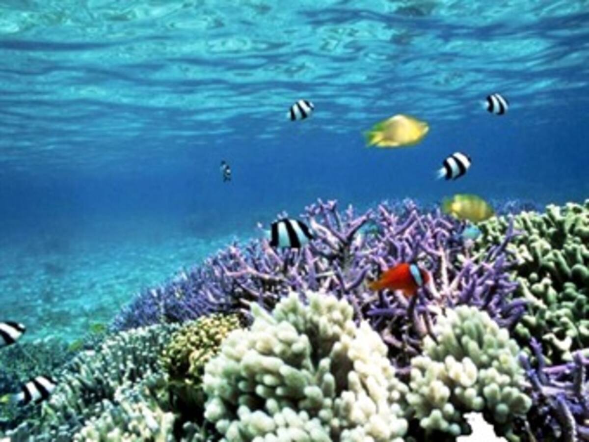 Petrolera llega a la isla de San Andrés