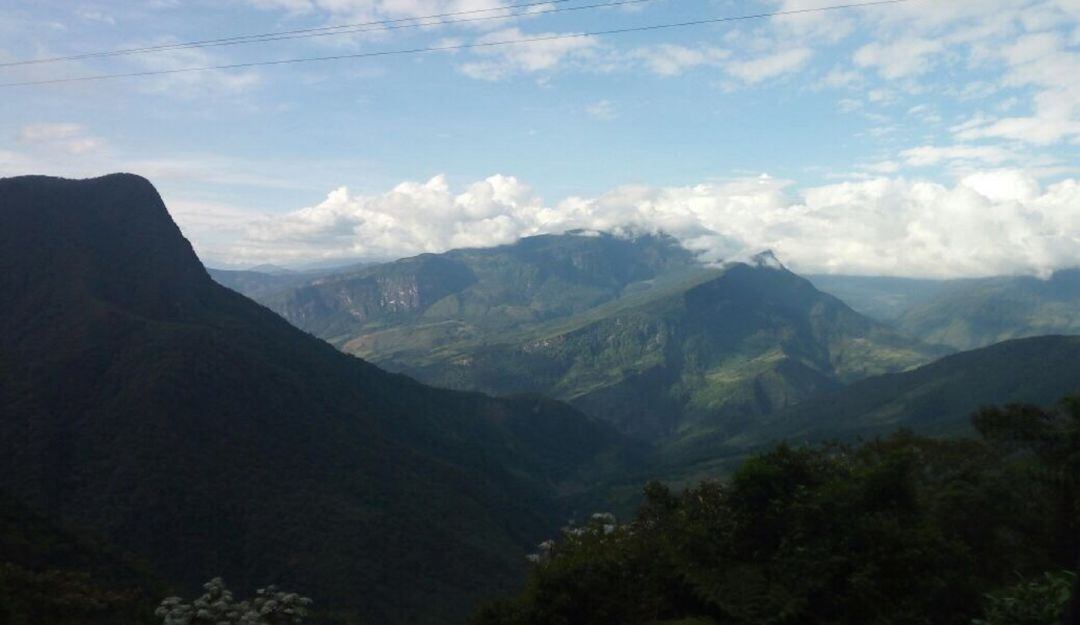 Los predios están en cuatro municipios del Tolima.