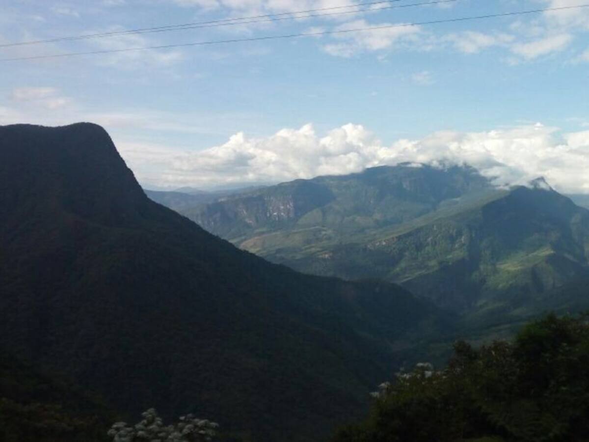 La Agencia Nacional de Tierras ha entregado más de 9 mil hectáreas a campesinos en el Tolima
