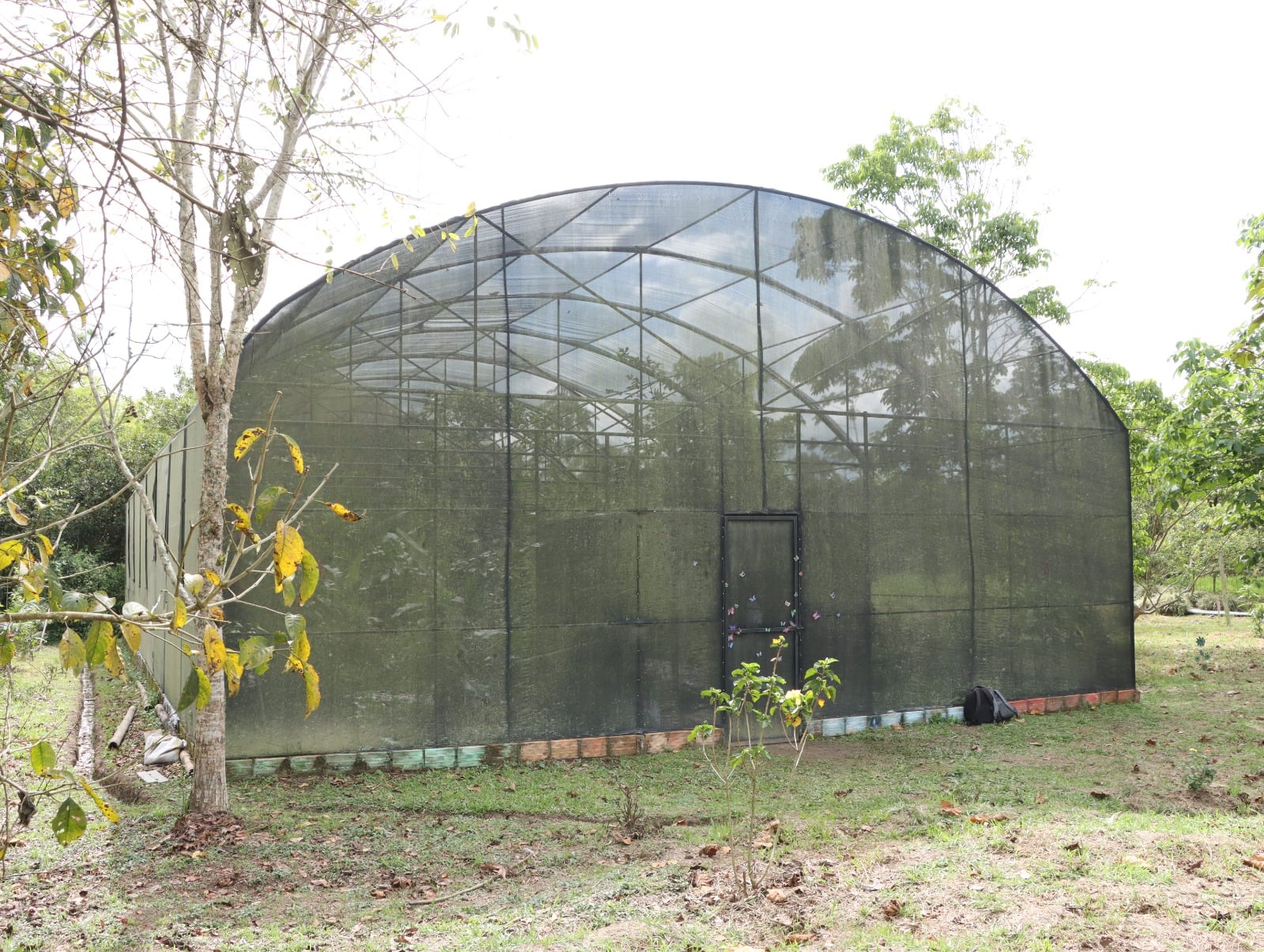 Mariposario ubicado en la finca Marengo de Pitalito. Foto CAM 