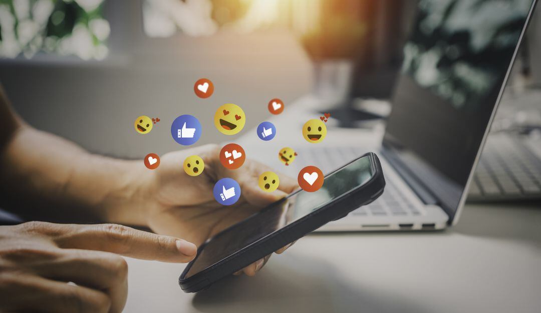 Imagen de referencia