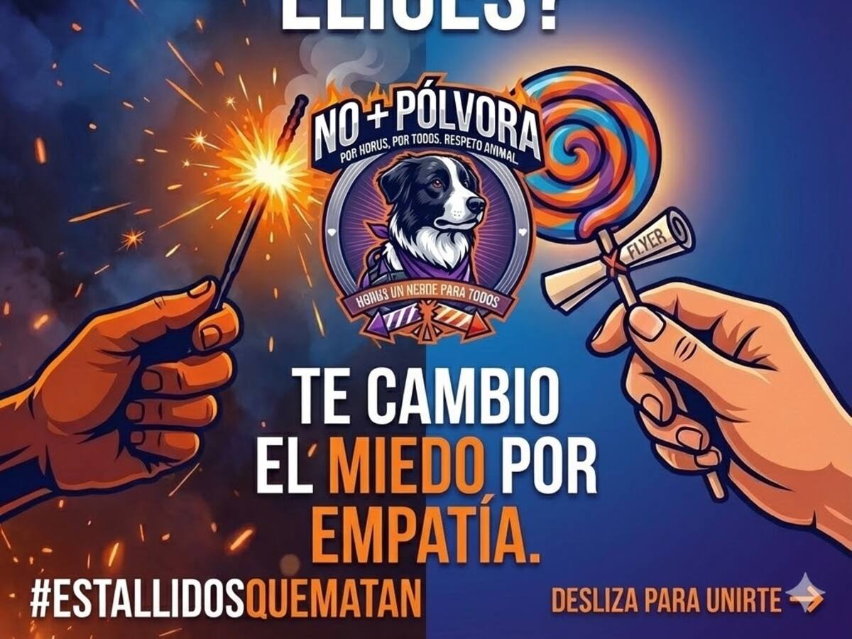 Caminata de sensibilización en Armenia para no quemar pólvora en pro de los animalitos