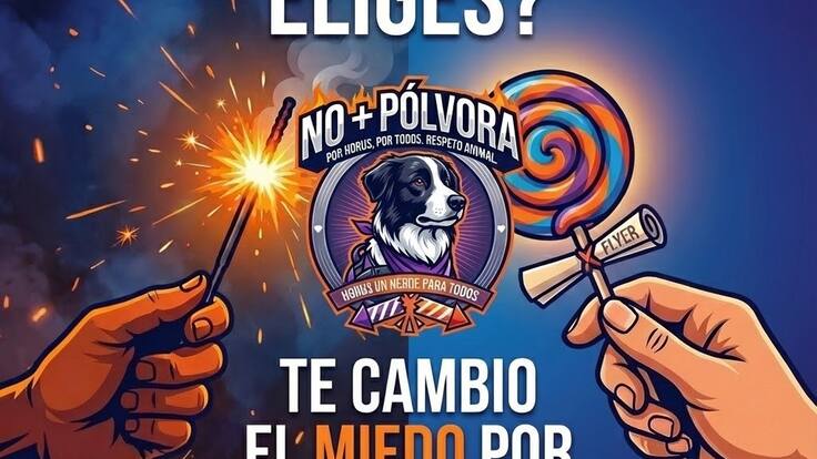 Diana Rodriguez animalista de Armenia