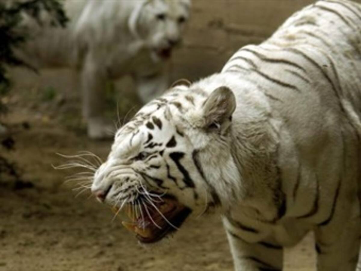 Mourinho con respecto a Barcelona: 'Los que no hablaban de árbitros, al final hablan'