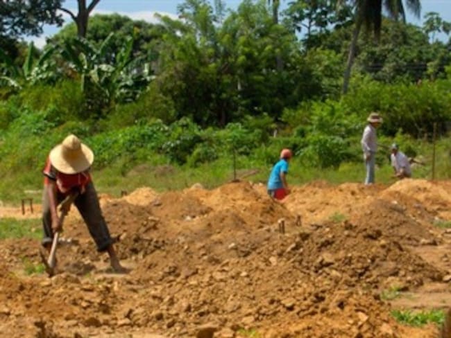 Denuncian asesinato de reclamante de tierras en Colombia, tercero en 20 días