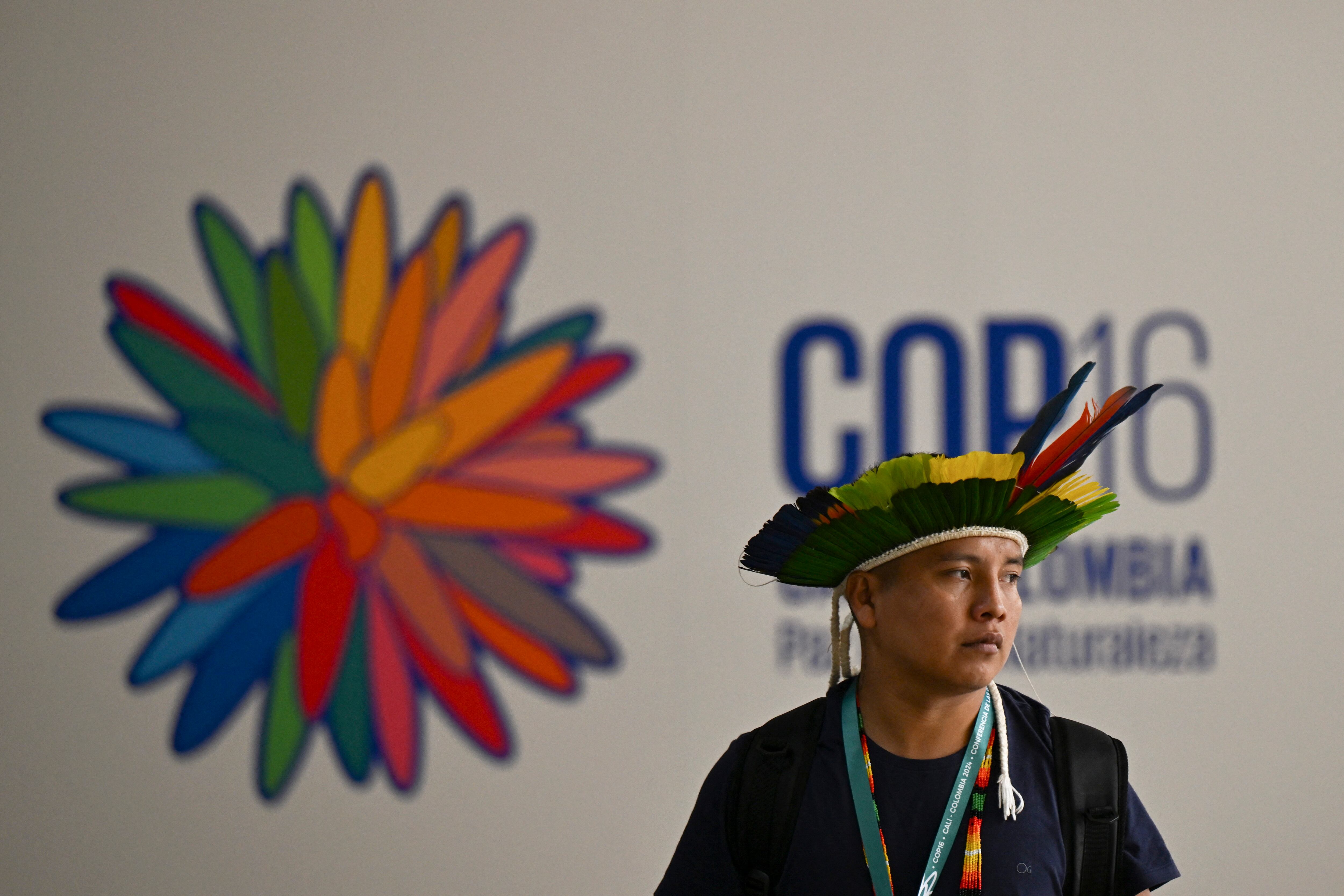 COP 16/ Getty Images