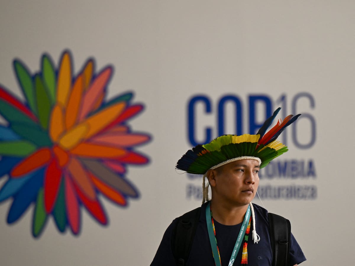 ¿Se necesita aumentar el financiamiento para conservar la biodiversidad?