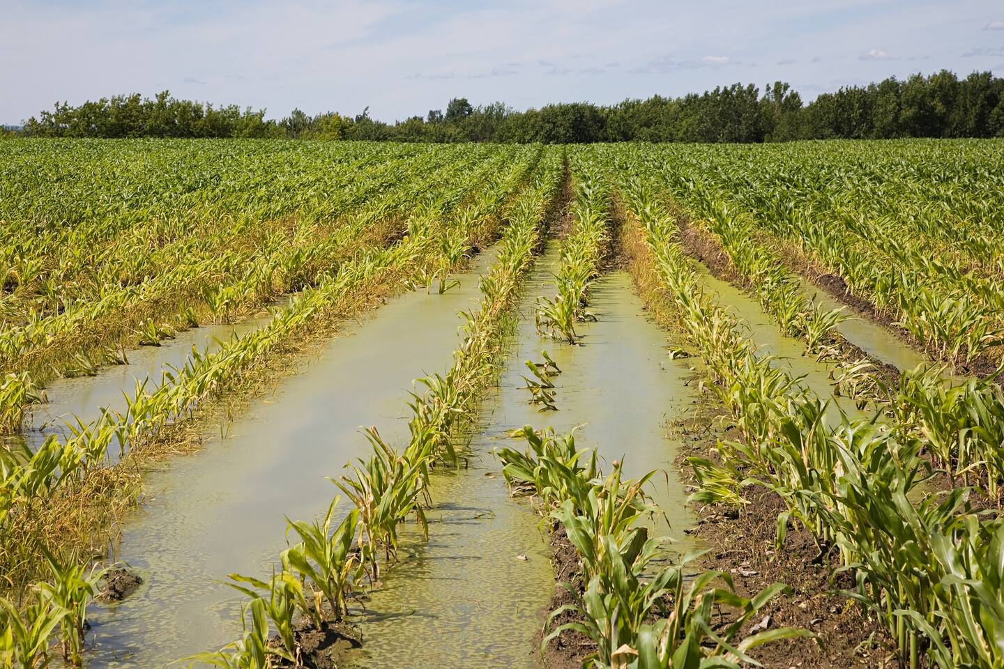En esta región se prevé que con las lluvias se presente un marcado aumento en el caudal de ríos, desencadenando deslizamientos de tierras e inundaciones.