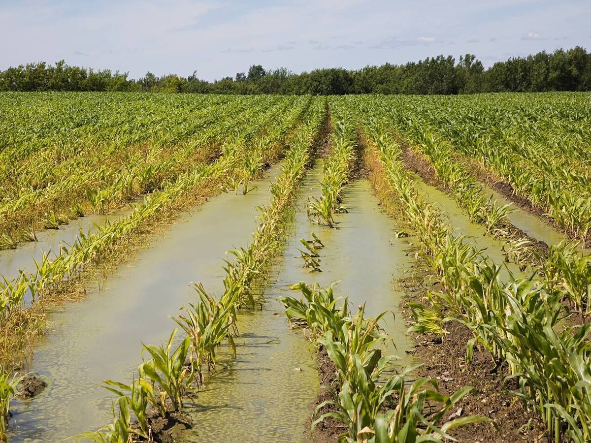 “Invierno golpeará fuertemente el agro huilense”: Lorena Sánchez