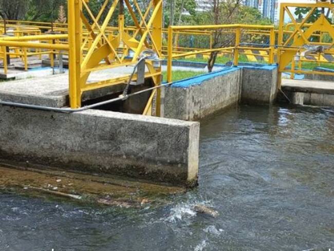 PLANTA EPA/ FOTO VANESSA PORRAS