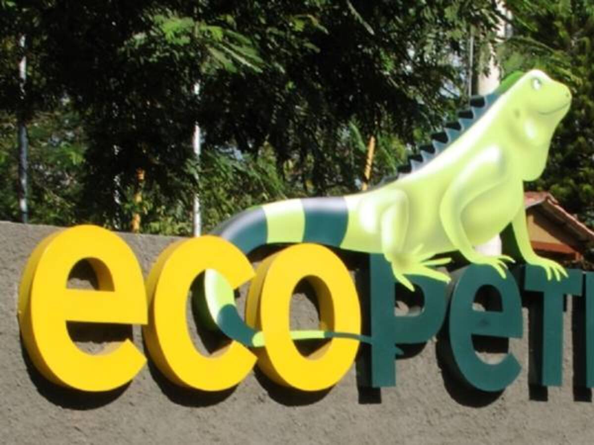 Si el Congreso decide que no hay fracking, Ecopetrol no lo hará: Felipe Bayón