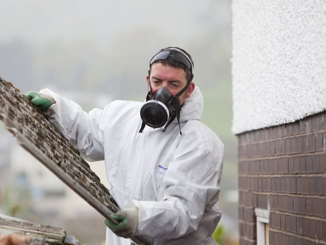 Gobierno prohíbe importación y exportación de cualquier variedad de asbesto