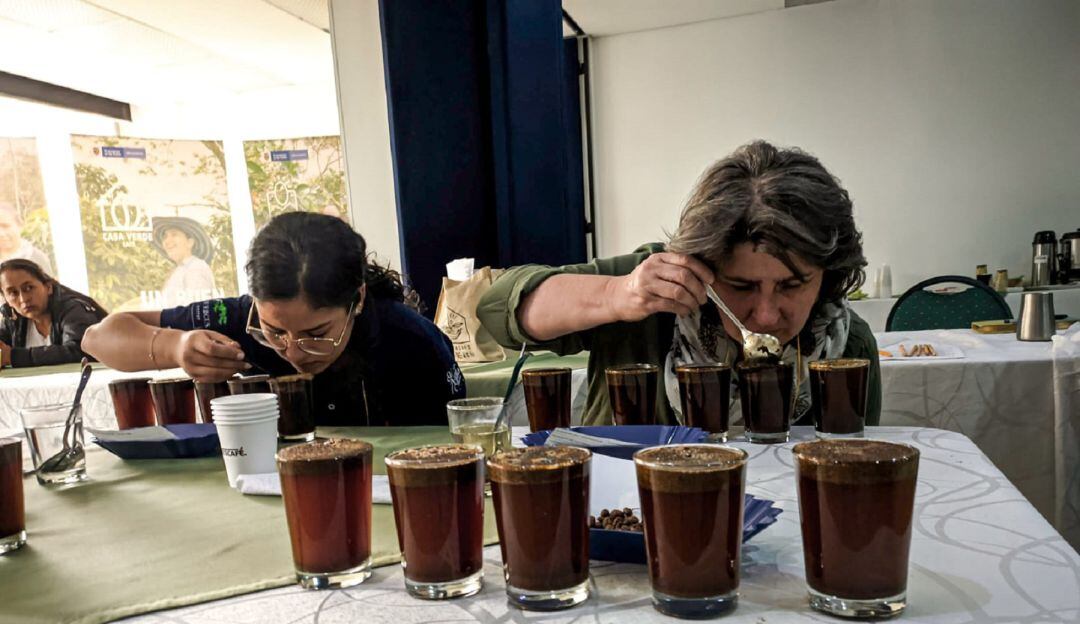 Café del municipio de Ataco será exportado